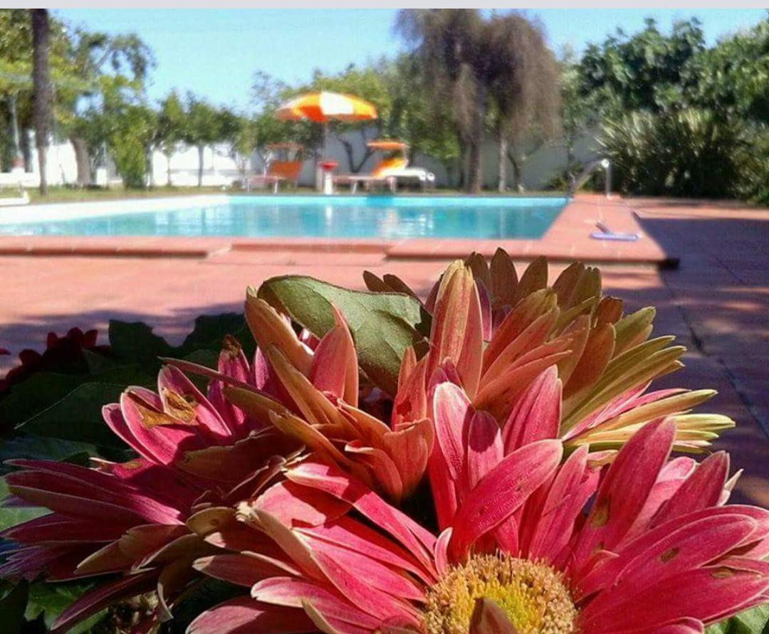 Borgo Fiore Country House Salice Salentino Exterior foto