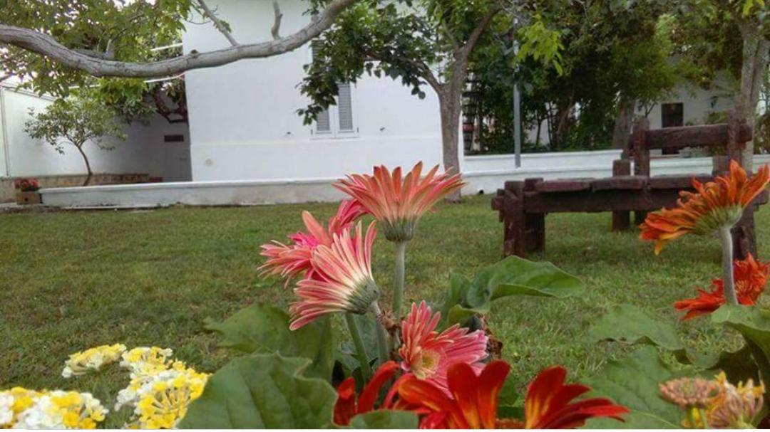 Borgo Fiore Country House Salice Salentino Exterior foto